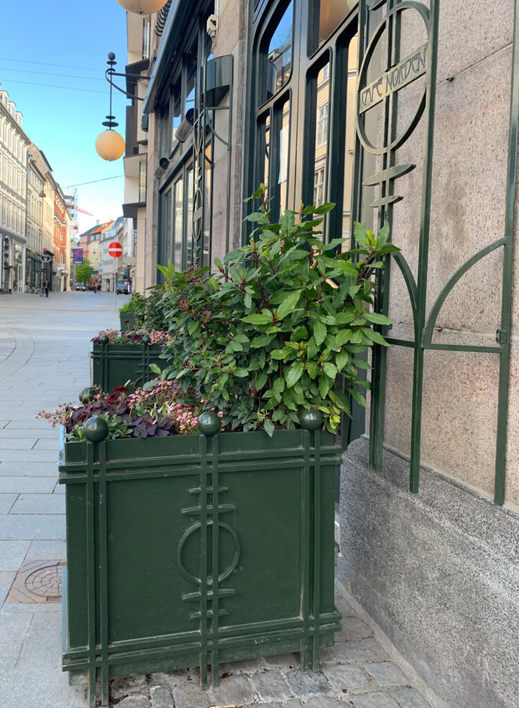 cafe norden plantekasse logo